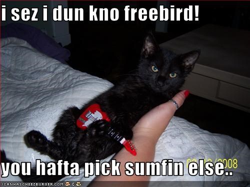 i sez i dun kno freebird!  you hafta pick sumfin else..