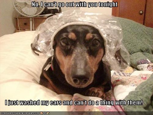 Lame Excuse 
