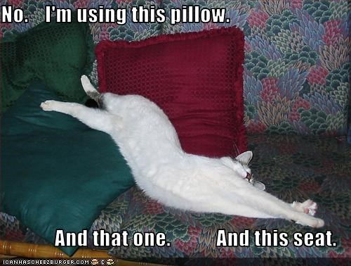 No.    I'm using this pillow.  And that one.           And this seat.