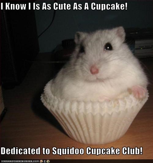 I Know I Is As Cute As A Cupcake!  Dedicated to Squidoo Cupcake Club!