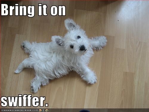 Bring it on   swiffer.