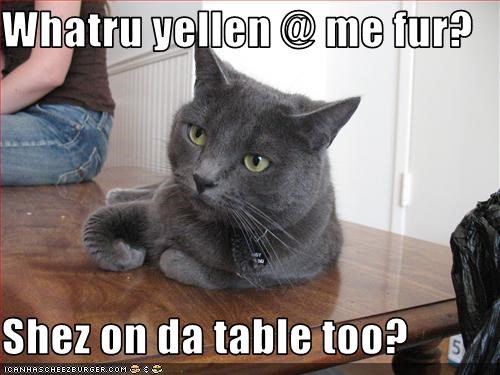 Whatru yellen @ me fur?  Shez on da table too?