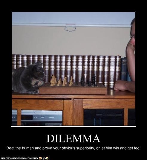 DILEMMA