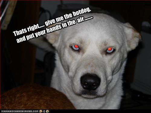 Thats right..... give me the hotdog, and put your hands in the  air........
