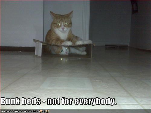 Bunk beds - not for everybody.