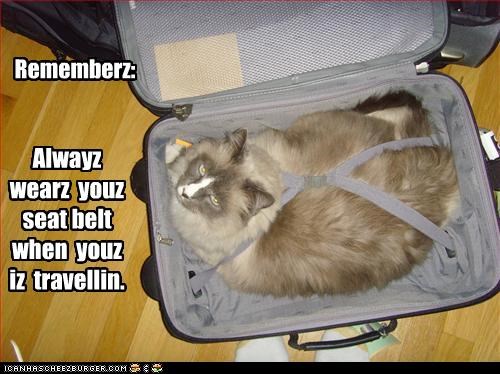 Alwayz  wearz  youz  seat belt when  youz  iz  travellin.
