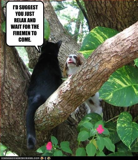 I'D SUGGEST YOU JUST RELAX AND WAIT FOR THE FIREMEN TO COME.