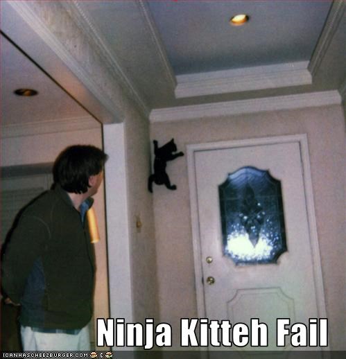 Ninja Kitteh Fail