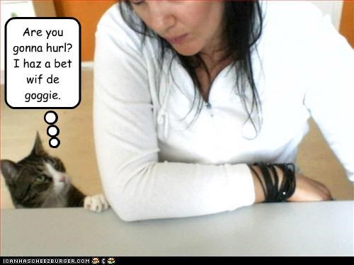 Are you gonna hurl?  I haz a bet wif de goggie.
