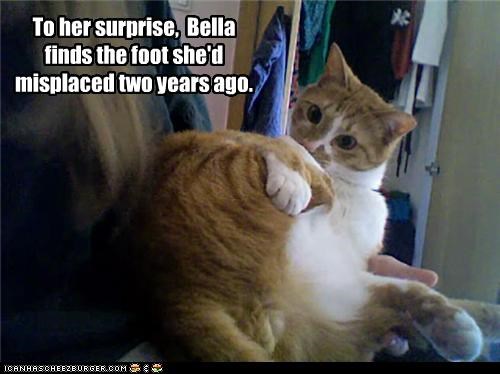 To her surprise,  Bella finds the foot she'd misplaced two years ago.