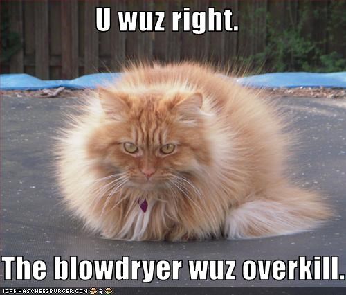 U wuz right.  The blowdryer wuz overkill.