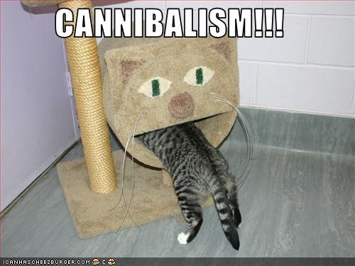 CANNIBALISM!!!