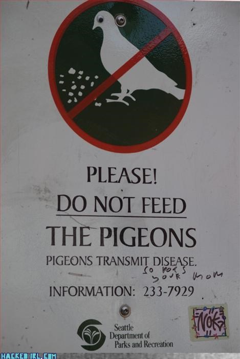 Pigeons and Moms