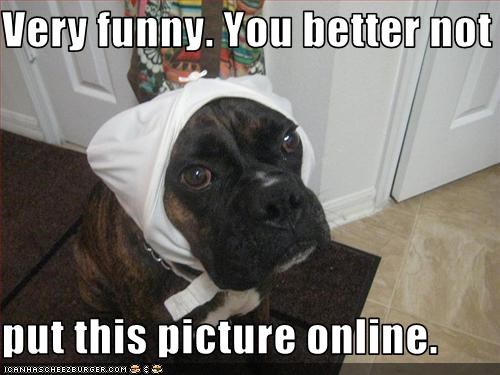 Very funny. You better not   put this picture online.