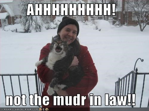 AHHHHHHHHH!  not the mudr in law!!