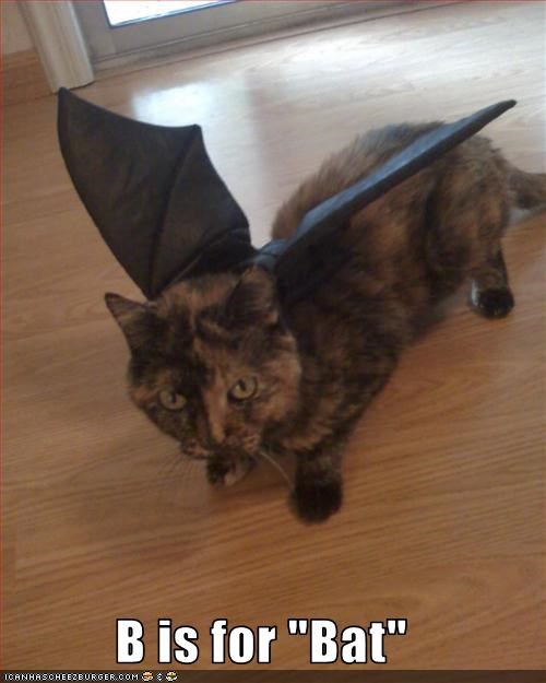B is for "Bat"