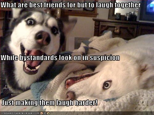 What are best friends for but to laugh together While bystandards look on in suspicion  Just making them laugh harder!