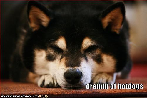 dremin of hotdogs