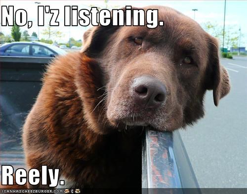 No, I'z listening.  Reely.
