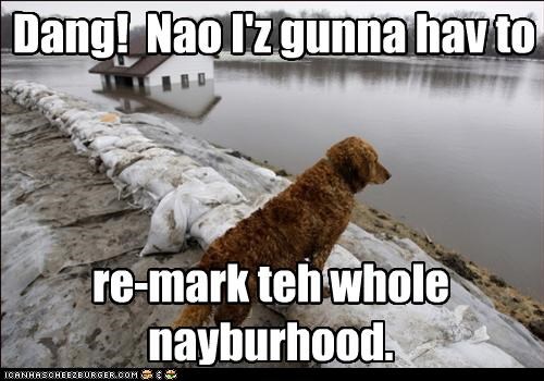 Dang!  Nao I'z gunna hav to