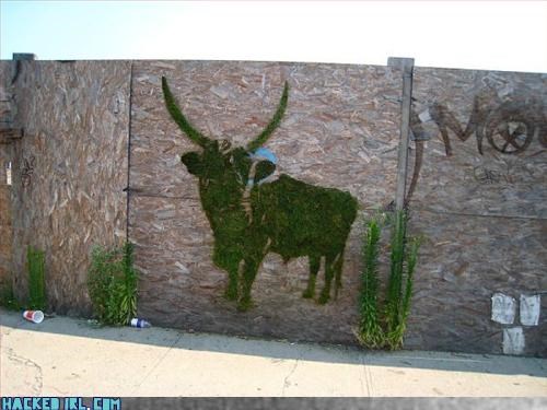 Eco Friendly Graffiti FTW