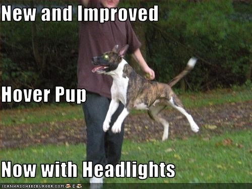 New and Improved Hover Pup Now with Headlights