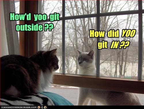 How'd  yoo  git  outside ??