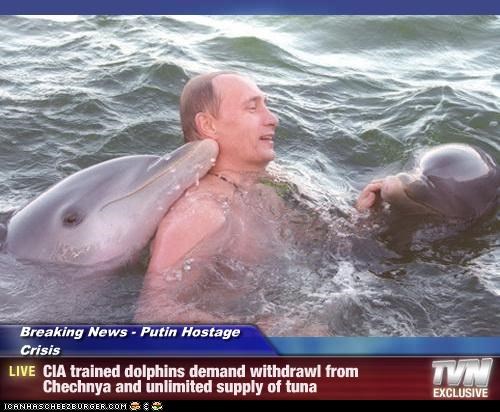 Breaking News - Putin Hostage Crisis - CIA trained dolphins demand withdrawl from Chechnya and unlimited supply of tuna