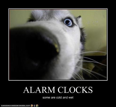 ALARM CLOCKS