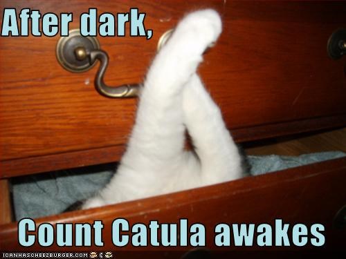 After dark,  Count Catula awakes