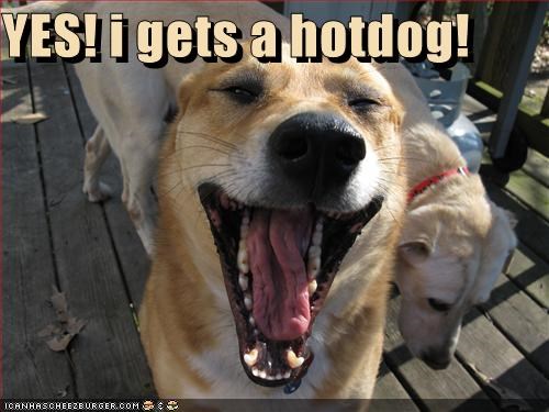 YES! i gets a hotdog!