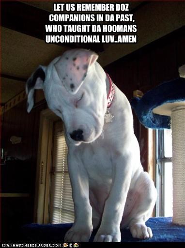 LET US REMEMBER DOZ   COMPANIONS IN DA PAST, WHO TAUGHT DA HOOMANS  UNCONDITIONAL LUV..AMEN