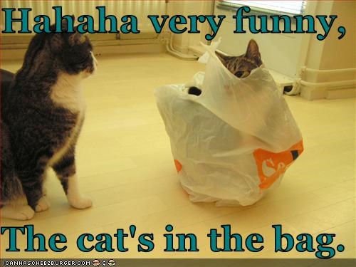 Hahaha very funny,  The cat's in the bag.