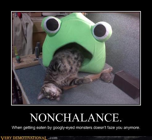 This Cat Just Don't Care
