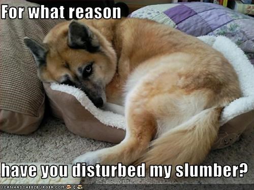 For what reason  have you disturbed my slumber?
