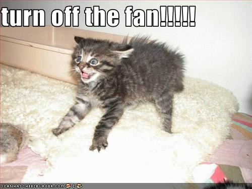 turn off the fan!!!!!