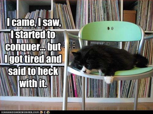 I came, I saw, I started to conquer... but I got tired and said to heck with it.