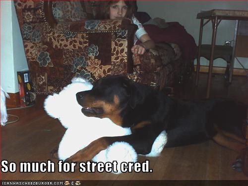 So much for street cred.