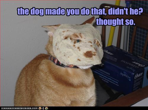 the dog made you do that, didn't he?
                                               thought so.