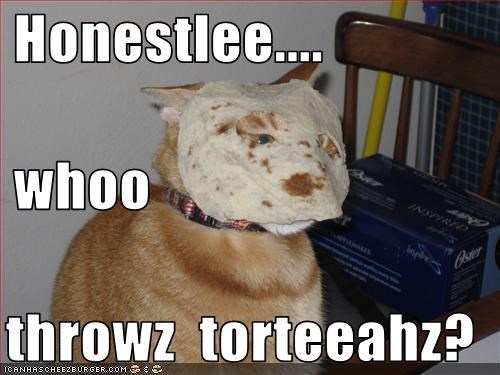 Honestlee....  whoo  throwz  torteeahz?