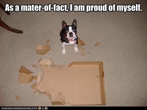 As a mater-of-fact, I am proud of myself.