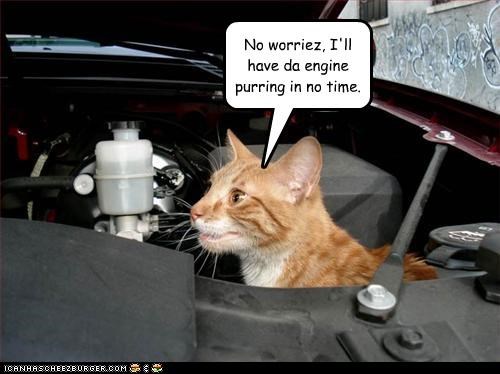 No worriez, I'll have da engine purring in no time.
