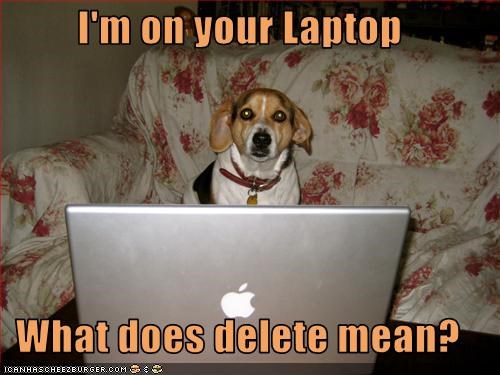 I'm on your Laptop  What does delete mean?
