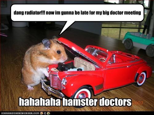 dang radiator!!! now im gunna be late for my big doctor meeting