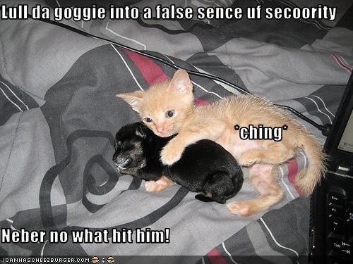Lull da goggie into a false sence uf secoority                                                      *ching* Neber no what hit him!