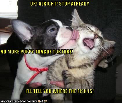 OK! ALRIGHT! STOP ALREADY NO MORE PUPPY TONGUE TORTURE! I'LL TELL YOU WHERE THE FISH IS!
