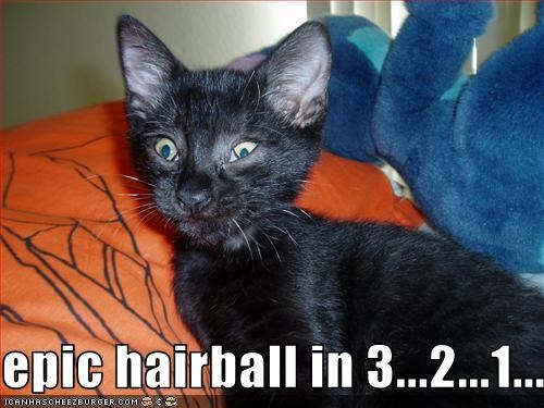 epic hairball in 3...2...1...