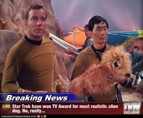 Breaking News - Star Trek have won TV Award for most realistic alien dog. No, really...