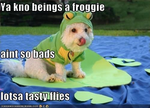 Ya kno beings a froggie aint so bads lotsa tasty flies