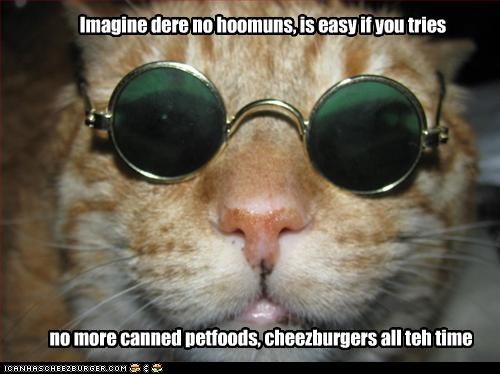 Imagine dere no hoomuns, is easy if you tries